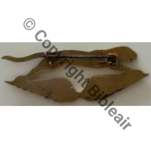 CIE AIR 41.104 CHANTILLY LES AIGLES  SM (DELANDE) Eping bascule Dos lisse ROUGE ORANGE Src.Y.GENTY Collect JM 