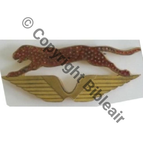 CIE AIR 41.104 CHANTILLY LES AIGLES  SM (DELANDE) Eping bascule Dos lisse ROUGE ORANGE Src.Y.GENTY Collect JM 