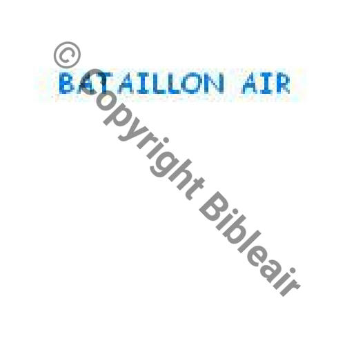 PARIS A1156NH    Bat Air 117  1 