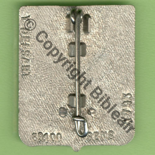 SAI  A0793 BA.722 SAINTES  De Griffes et butees Strie irreg Src.Y.GENTY 
