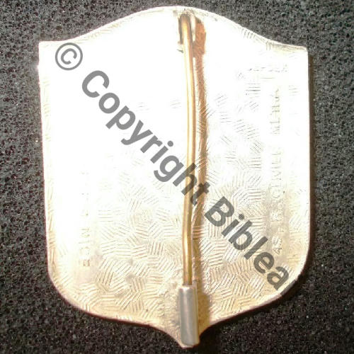 FRIEDRICHSHAFEN NH  BAT 1.136   DRPNOM Eping tuyau Guilloche vrac ARGENT Src.revedempire 125EurInv 