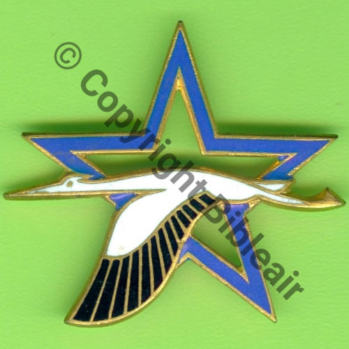 MEKNES A0852NH  BE.708 Bleue  DrPN 2Pattes fixation Dos irreg scintillant Embouti Src.Y.GENTY 56Eur(x2)  