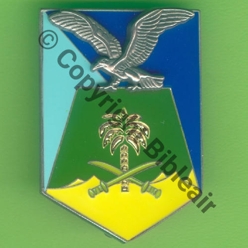 EMIRATS ARABES UNIS A1394 BA.104 AL DHAFRA E.A.U  De Griffes et butees Dos lisse brosse 44Eur(x10)  Src.Y.GENTY 