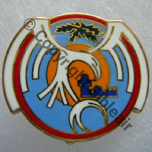 DJIBOUTI A0961 BA.188 DJIBOUTI  GUYMO +Tel 8 Chiffres Griffes et butees FEUILLES CHENE Src.RIGODANZO 