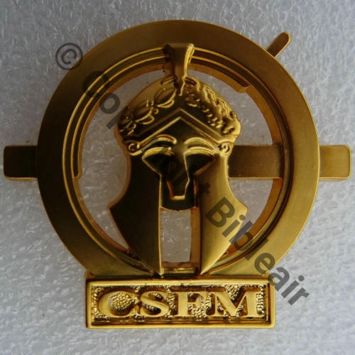 MINDEF GS.242 CSFM  MSEM 2attach PINS Dos lisse Src.P.GOUT 30EurInv 