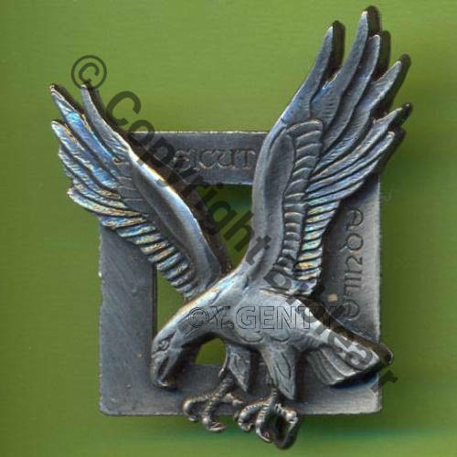 CODO A0690  GROUPEMENT COMMANDOS PARA AIR  50.541  De Eping soudee Dos lisse irreg