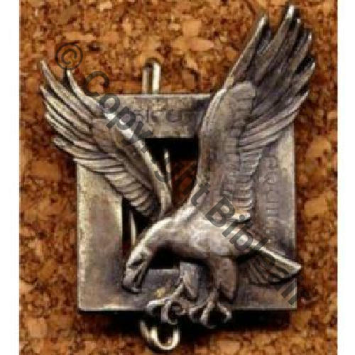 CODO A0690  GROUPEMENT COMMANDOS PARA AIR  50.541  DrN 2Anneaux