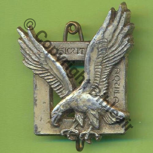 CODO A0690  GROUPEMENT COMMANDOS PARA AIR  50.541  DrP 2Anneaux Dos lisse Src.Y.GENTY 4Eur06.14 