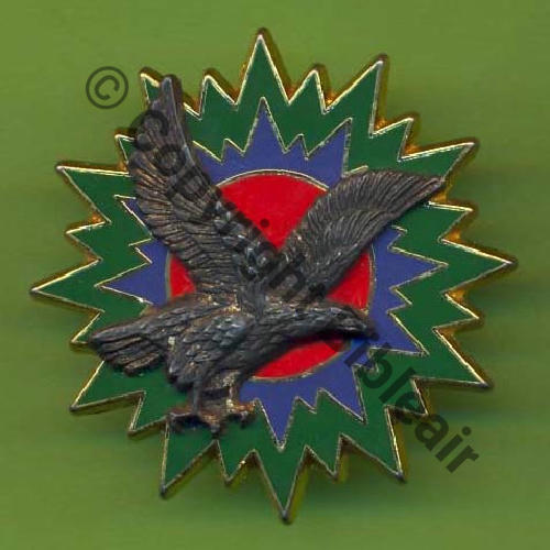 FAC A1041 EM 1erRA & FATAC METZ  DrP Griffes et butees Dos granuleux irreg Strie 37mm Sc.Y.GENTY 