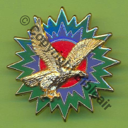 METZ A1041 EM 1erRA & FATAC METZ  DrNMV Griffes et butees Dos lisse irreg 37mm AIGLE DORE Src.Y.GENTY 