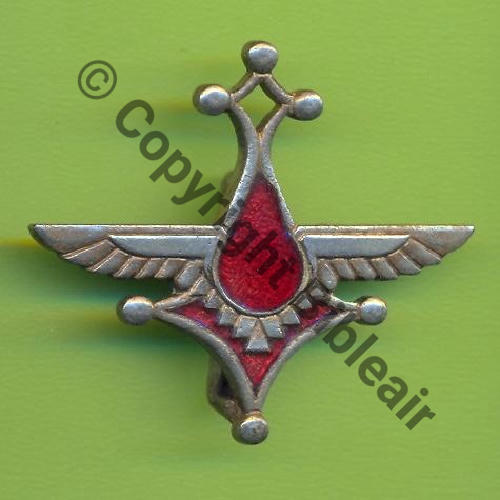 OPS  Gpt UNITE AERIEN SPECIALIS SAHARA PCAD29.540 COLOMB BECHAR A0808  DrP Dos lisse Eping nourrice Src.Y.GENTY 34Eur(x8)