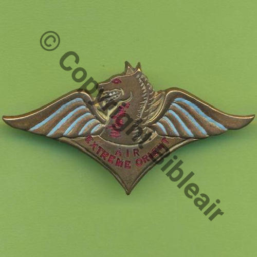 CDT AIR EO  A.AUGIS ST BARTH LYON 3Lig Horiz sur fond lisse et Idem sur fond granuleux en bout aile Bol fenetre allonge Embouti Sc.Y.GENTY 24Eur09.06 