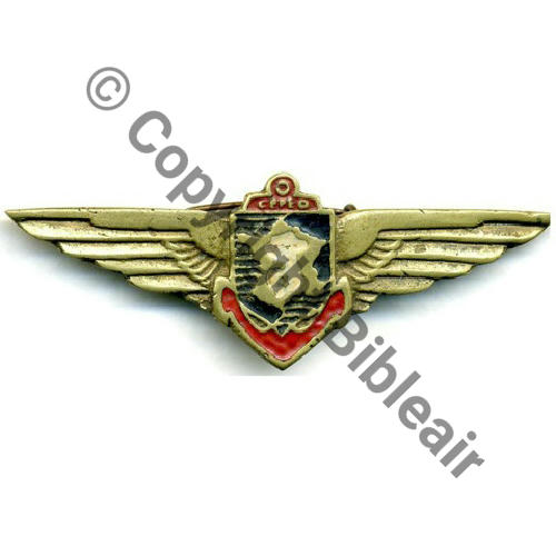CORPS EXPED FRANCAIS E.O 1945.46 SM Bol Metal moule peint Sc.STELLA 114Eur05.07 