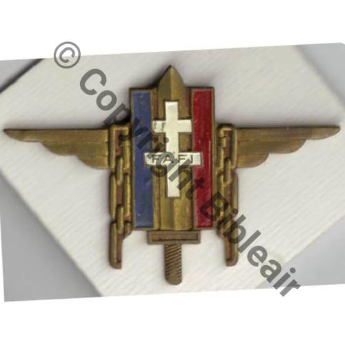 FAFI  INS GENERAL  DrPBER Dep No963 Bol Dos lisse irreg Peint Sc.badgesareus 85Eur09.10 