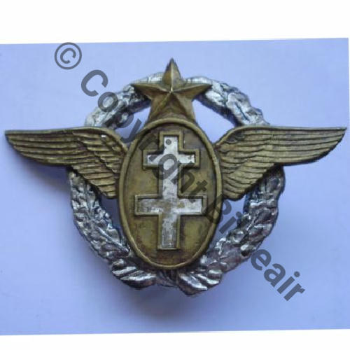 FAFL  BREVET PILOTE FAFL  FIRMIN LONDRES 2Anneaux Dos lisse Sc.unclesam2010 125Eur01.11  