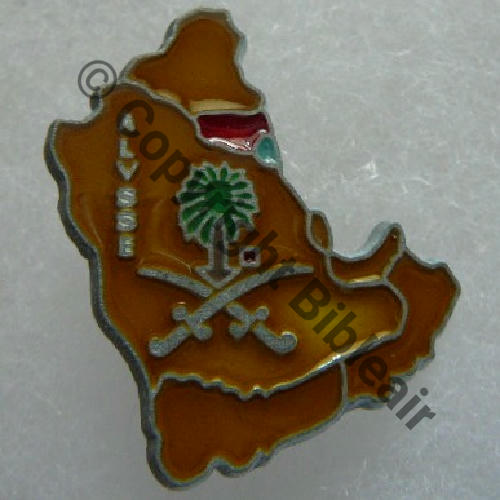 ARABIE SAOUDITE A1333NH ALYSSE CDT ELEMENTS FRANCAIS AL.KHARJ CARAMEL FONCE  BALLARD COMBS LA VILLE GRIFFES ET BUTEES Granuleux