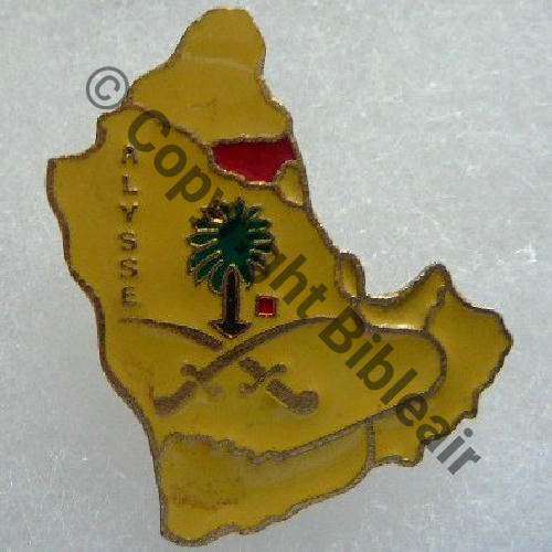 ARABIE SAOUDITE A1333NH ALYSSE CDT ELEMENTS FRANCAIS AL.KHARJ JAUNE  SM 1Attach PINS Dos lisse irreg 