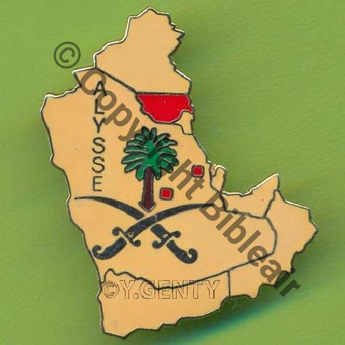 ARABIE SAOUDITE A1333NH ALYSSE CDT ELEMENTS FRANCAIS AL.KHARJ et DARHAN  SM Quadrille fin Bol fenetre oval tronque 21Eur12.06