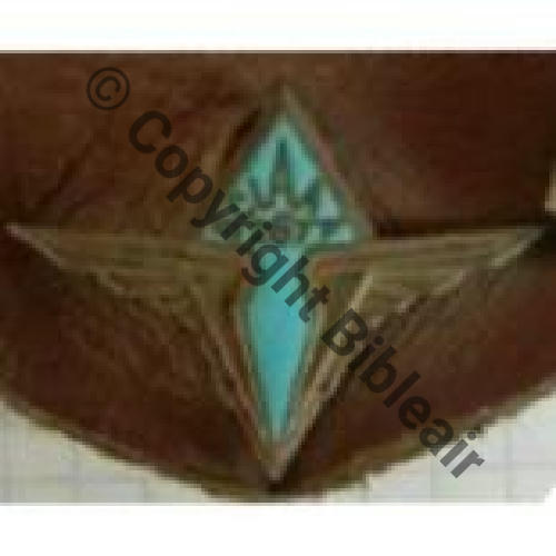 BCIAA  2972.EMAA BCIAA.267 COMPIEGNE  DrOM 5Eur Ebay01.02
