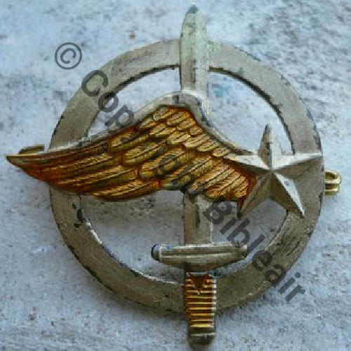 BERET CODOS AIR A0688  1er modele 1956  DrP 2Anneaux Dos lisse Aile estampee  SNH Dorure faite perso Src.lolop4 25EurInv 