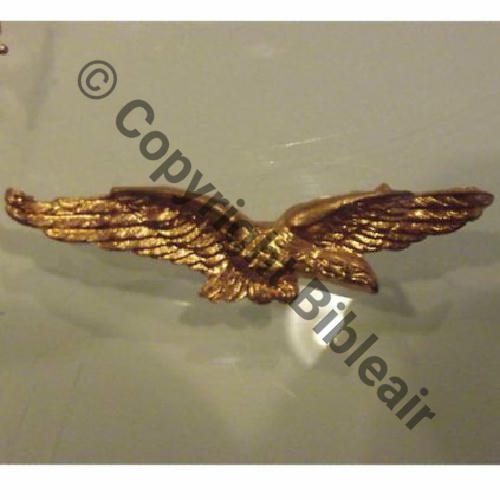 CHAROGNARD CALOT Agraffes 55x15mm Src.brocantik71 10Eur04.13 