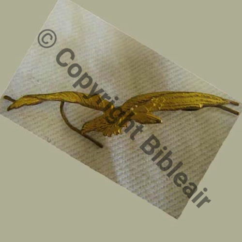 CHAROGNARD CALOT INDO dore  SM Pattes doubles Dos lisse Sc.quivivefrance 15Eur02.06
