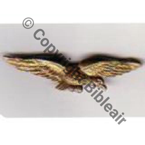 CHAROGNARD CALOT Pattes 45.46 9Eur Inv