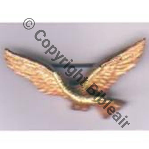 CHAROGNARD CALOT avant 39 SM  13Eur Inv 