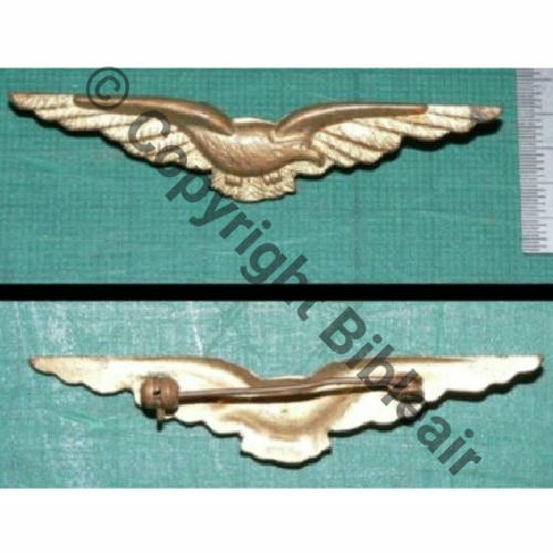 CHAROGNARD TETE A DROITE  SM Tambour ancien Dos lisse Embouti Src.jpl030874 20EurInv 