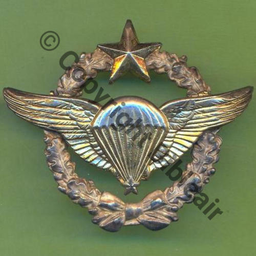 BREVET AIR COMMANDO PARA  & PARA ESSAI  DrP Dos lisse Embout Sc.Y.GENTY 6Eur(x2)