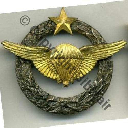 BREVET AIR COMMANDO PARA  & PARA ESSAI  SM Dos lisse 24Eur10.05 