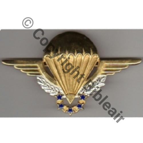 Wings - Parachutiste Militaire - France