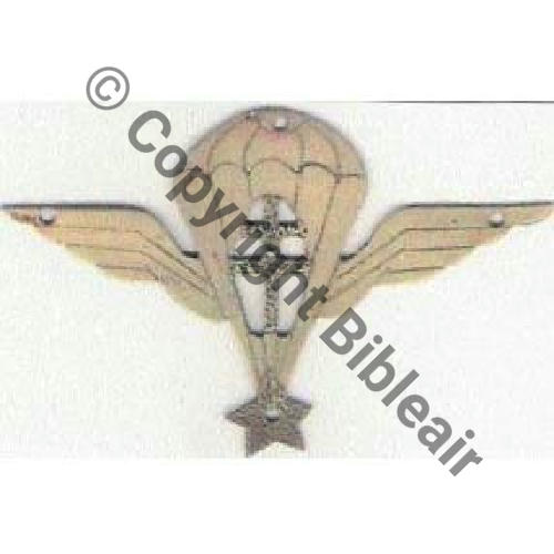 BREVET PARA FFL 1944 Fab Alger A coudre Dos lisse 84Eur12.06 