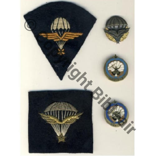 BREVET PARA TISSU 2 INFANTERIE AIR  1 BREVET BOUTONNIERE 2x 602e GIA Abpd  GIA 1939 Poincon Ab SRC.ADER 1200Eur 2016  