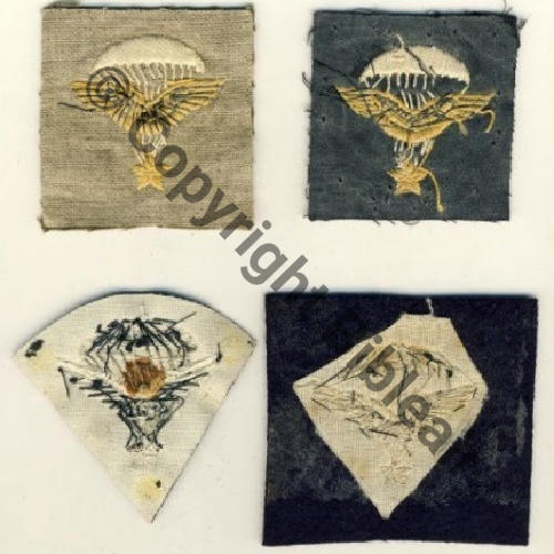 BREVETS TISSU INFANTERIE AIR 2Brodes tissu 2Brodes canetille Src.ADER 1470Eur 2016 REVERS 