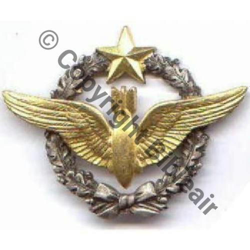 NH BREVET BOMBARDIER  DrPOM  2Anneaux 21EurInv 