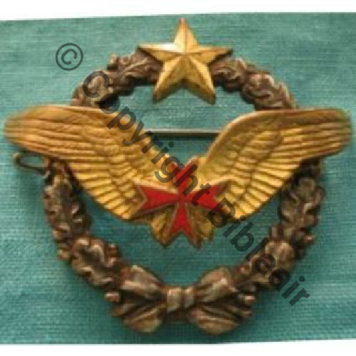NH BREVET CONVOYEUR AIR DrP INSIGNES OFFICIELS + Sigle AA Dos lisse Embouti 28Eur01.07