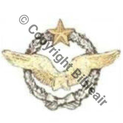 NH BREVET PILOTE  BALME SAUMUR 