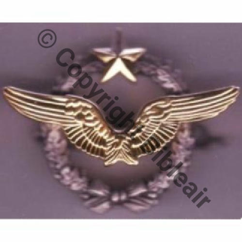 NH BREVET PILOTE  CHOLET.SA Dos lisse sans marquage Sc.medailleetdeco 20EurInv