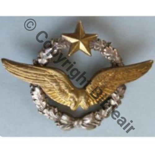 NH BREVET PILOTE  DrPRom Dos lisse etoile et ailes embouties Grave INSIGNES OFFICIELS DRAGO Epoque Indo 
