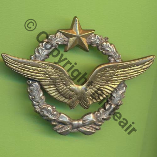 NH BREVET PILOTE  DrPRom Ins officiels Dos lisse Aile emboutie Sc.Y.GENTY 6Eur10.06 