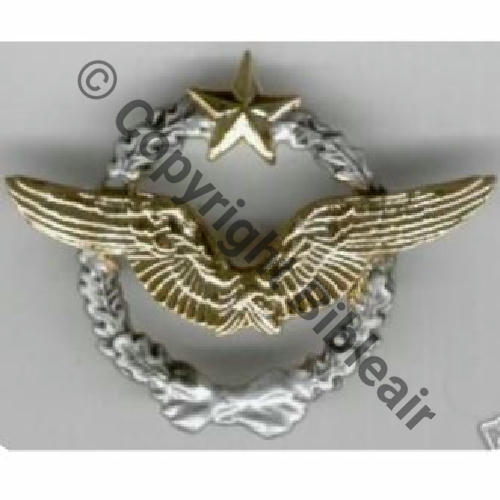 NH BREVET PILOTE  L.R  Sc.mian04nou  26Eur08.07