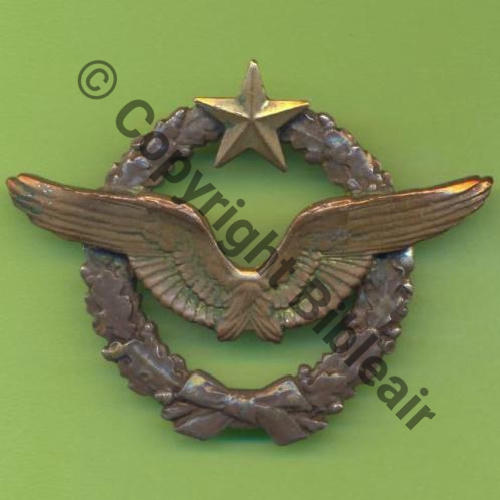NH BREVET PILOTE  SM Dos lisse Aile et Etoile CUIVRE PERSO LCL GENTY Sc.Y.GENTY  