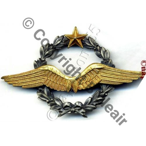 NH BREVET PILOTE LAURIERS 2 COTES  SM 2Anneaux Dos lisse Aile Emboutie FAB FANTAISIE..  Sc.STELLA 137Eur08.07