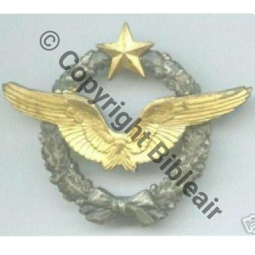 BREVET PILOTE No.29532  SM 2Anneaux Dos lisse irreg Sc.3violette  53Eur03.07