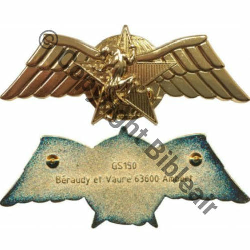 CODO  GS.150 BREVET COMBAT CHOC OR CPES DGSE BERAUDY VAURE 2Attaches PINS Dos lisse irreg Src.LAVOCAT PV45Eur