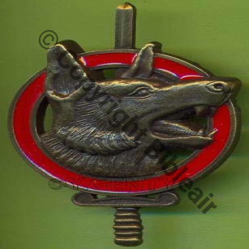 CODO  NH CHIENS DE GUERRE CERTIFICAT TECHNIQUE ELEMENTAIRE   DrNMV      GS46  Attache US Granuleux lisse