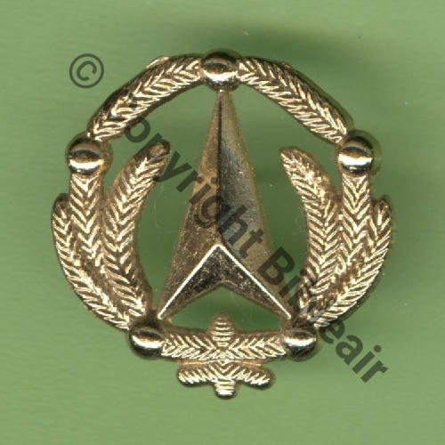 DGA G5417 BREVET DGA IETA... Petit modele 25mm 1Att PINS Dos irreg scintillant Src.Y.GENTY 