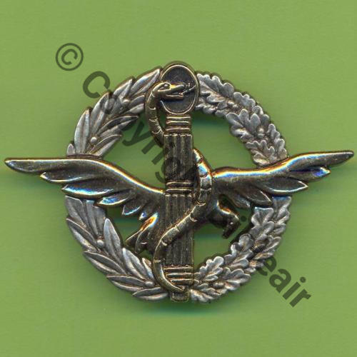 SANTE  A1231 BREVET MEDECINE AERO ET SPATIALE SSAA  COINDEROUX 2Porte anneaux Dos lisse Sc.Y.GENTY 