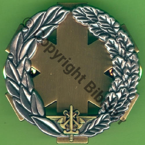 SANTE  GS.232 SECOURISTE BRANCARDIER BRONZE  BOUSSEMART 2010 2Att PINS Dos irreg scintillant  Src.Y.GENTY 8Eur03.20 